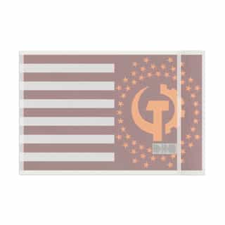 Flag of the Communist States of America Unique Gift for Collectors, Political Statement Banner, Retro Style Flag Decoration